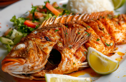 red snapper fish